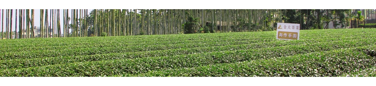 茶葉原料、手搖飲茶葉、高山茶茶葉、茶葉批發